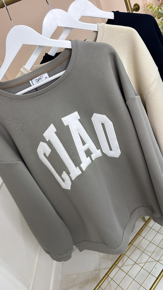 CIAO taupe embroidered oversized sweater